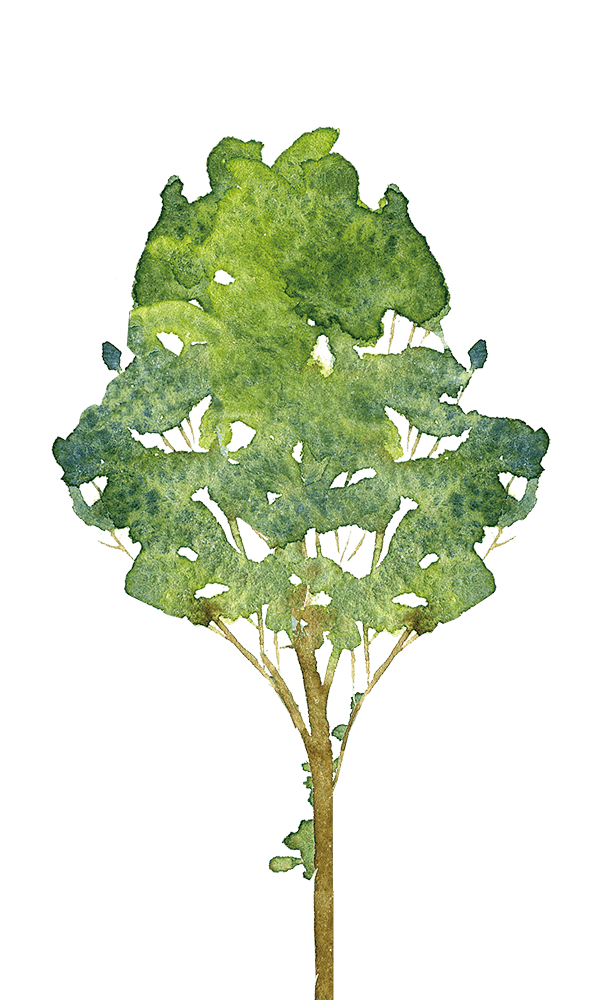 木々8